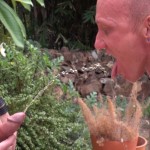 Wet Breeders Scene 2