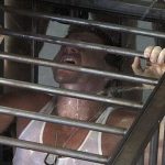 Piss Soaked Dreams 1